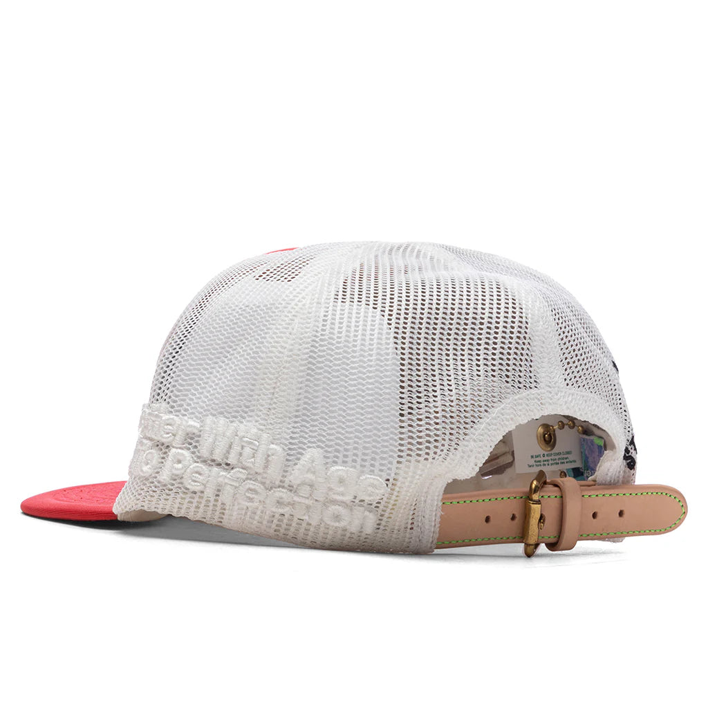 Scam Hat Multi
