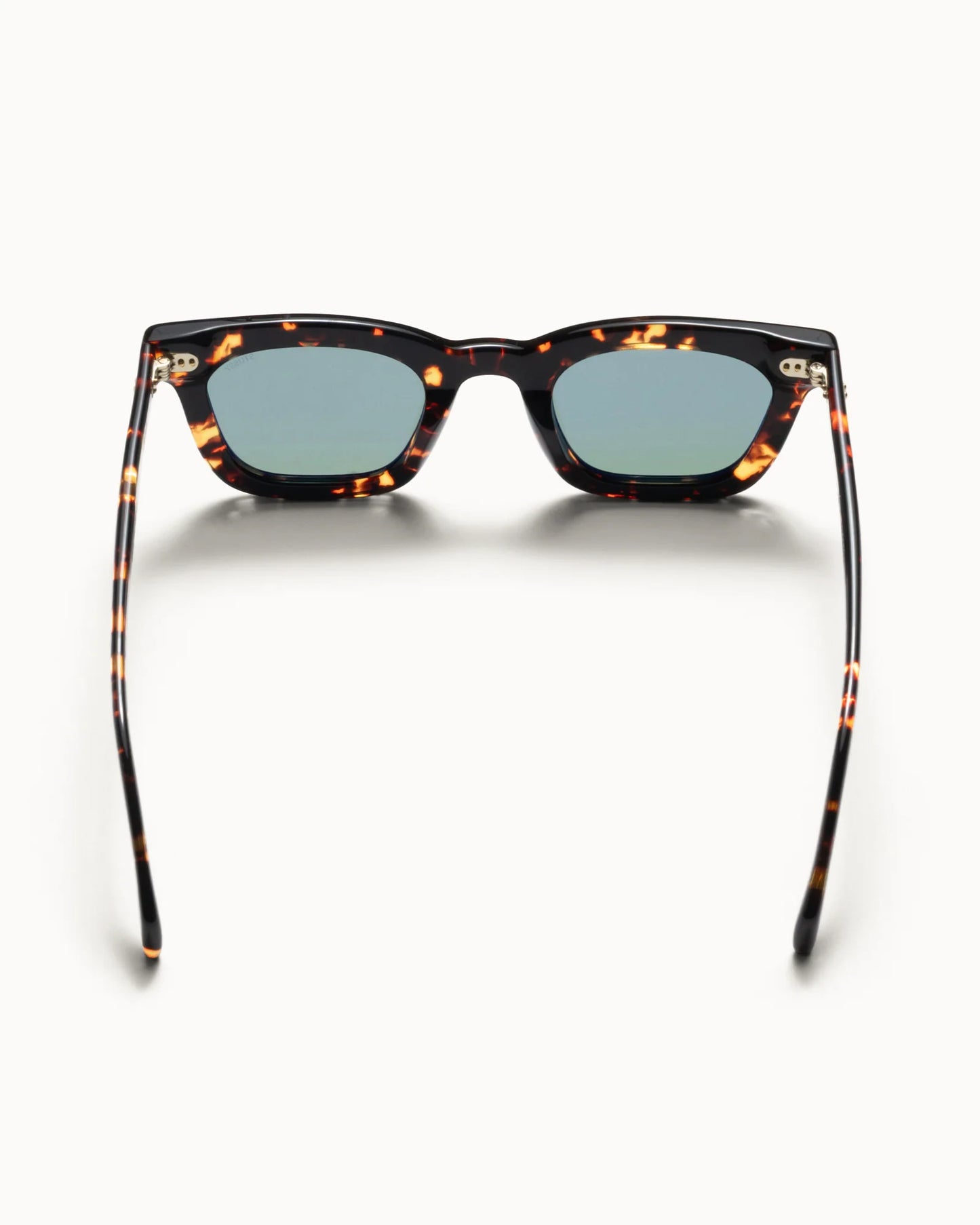 ACE SUNGLASSES