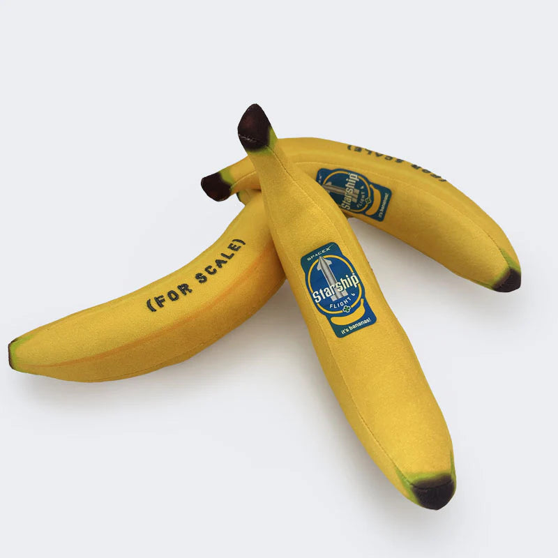 SPACEX STARSHIP FLIGHT 6 BANANA