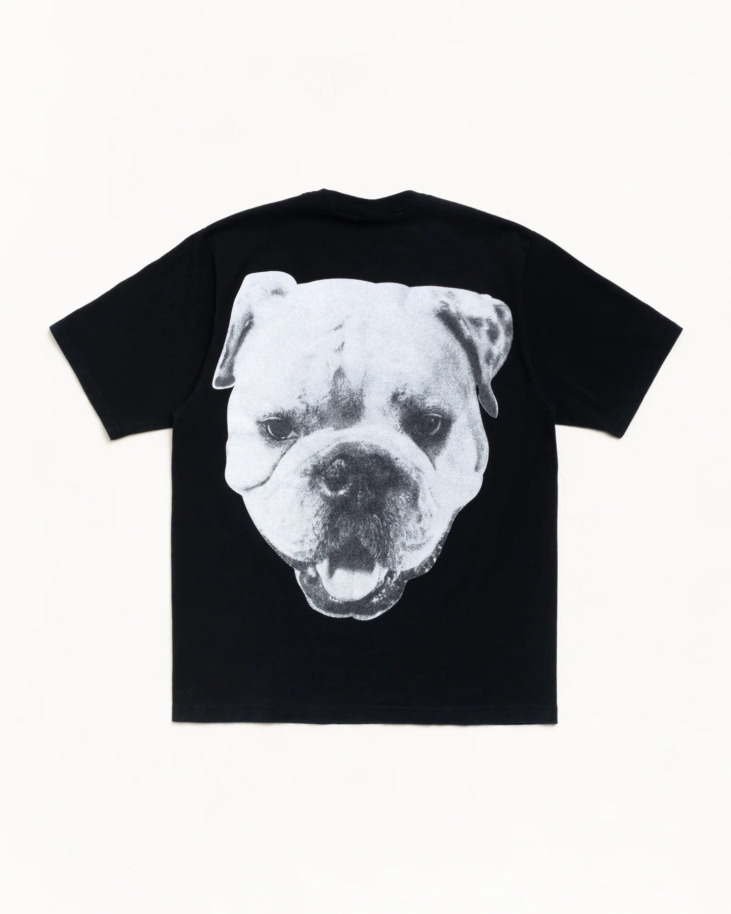 BIG DOG STONE WASHED TEE
