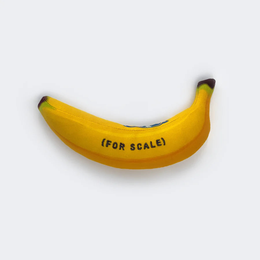 SPACEX STARSHIP FLIGHT 6 BANANA
