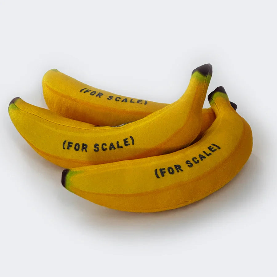 SPACEX STARSHIP FLIGHT 6 BANANA