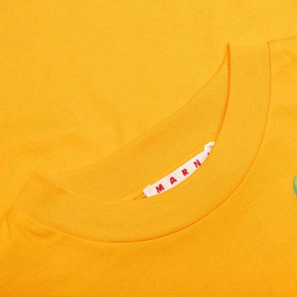 Organic Cotton T Shirt With Marni Dripping Print Light Orange