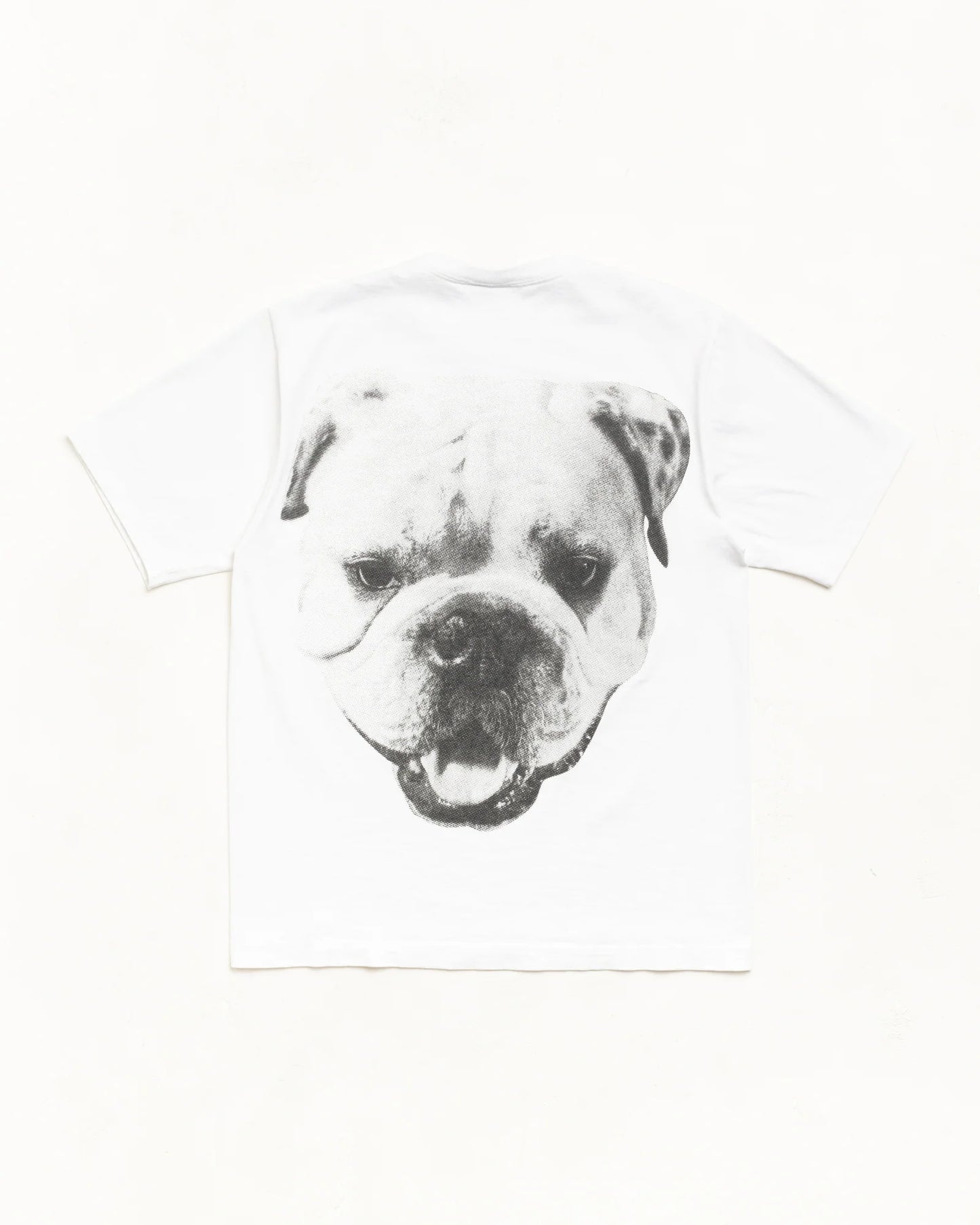 BIG DOG STONE WASHED TEE