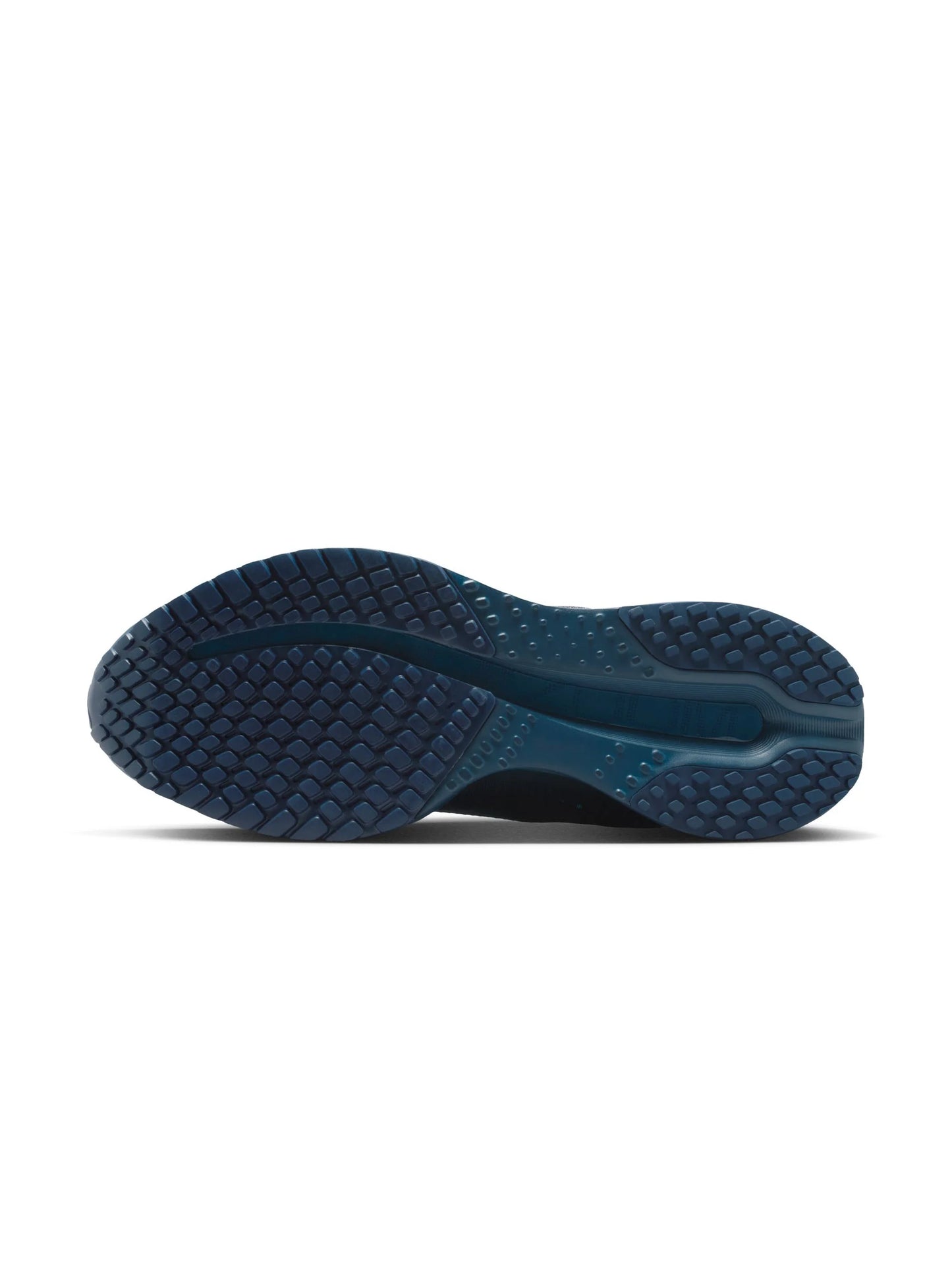 Nike Pegasus Premium Womens Shoes
