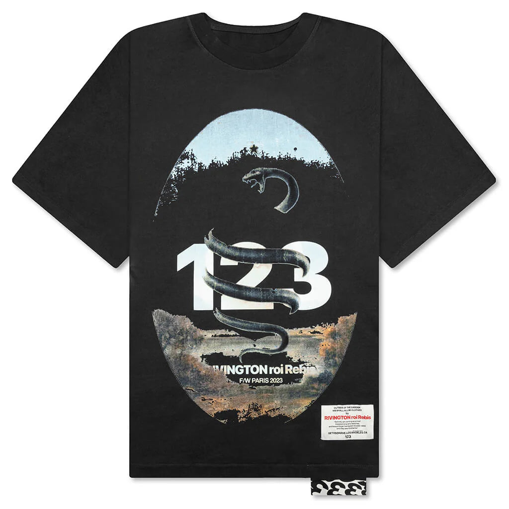 FW Paris Tee Vintage Black
